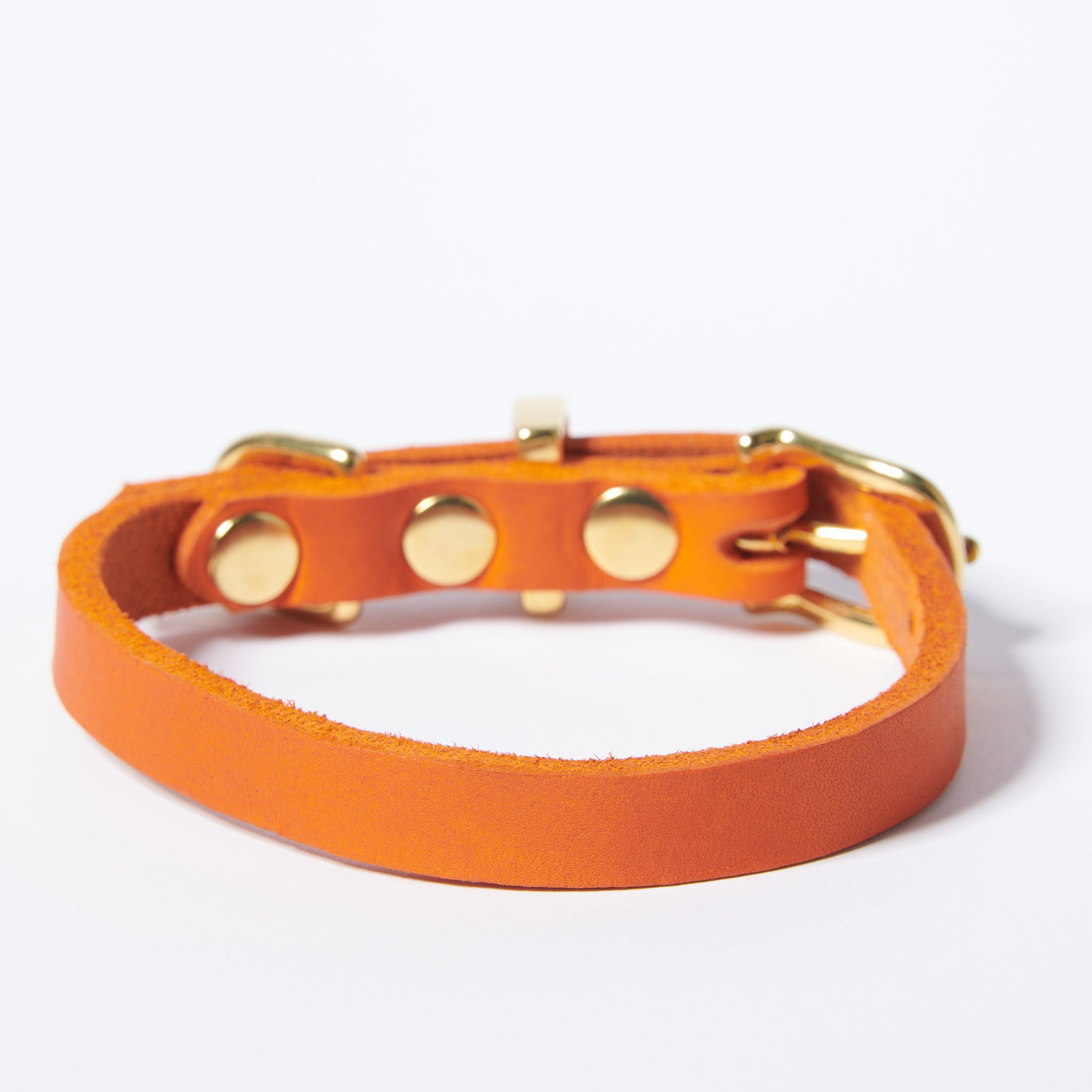 Hundehalsband Butter     - von Molly & Stitch kaufen bei leopolds-finest