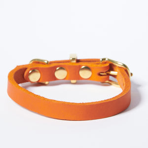 Hundehalsband Butter     - von Molly & Stitch kaufen bei leopolds-finest