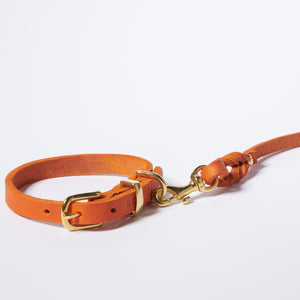 Hundehalsband Butter     - von Molly & Stitch kaufen bei leopolds-finest