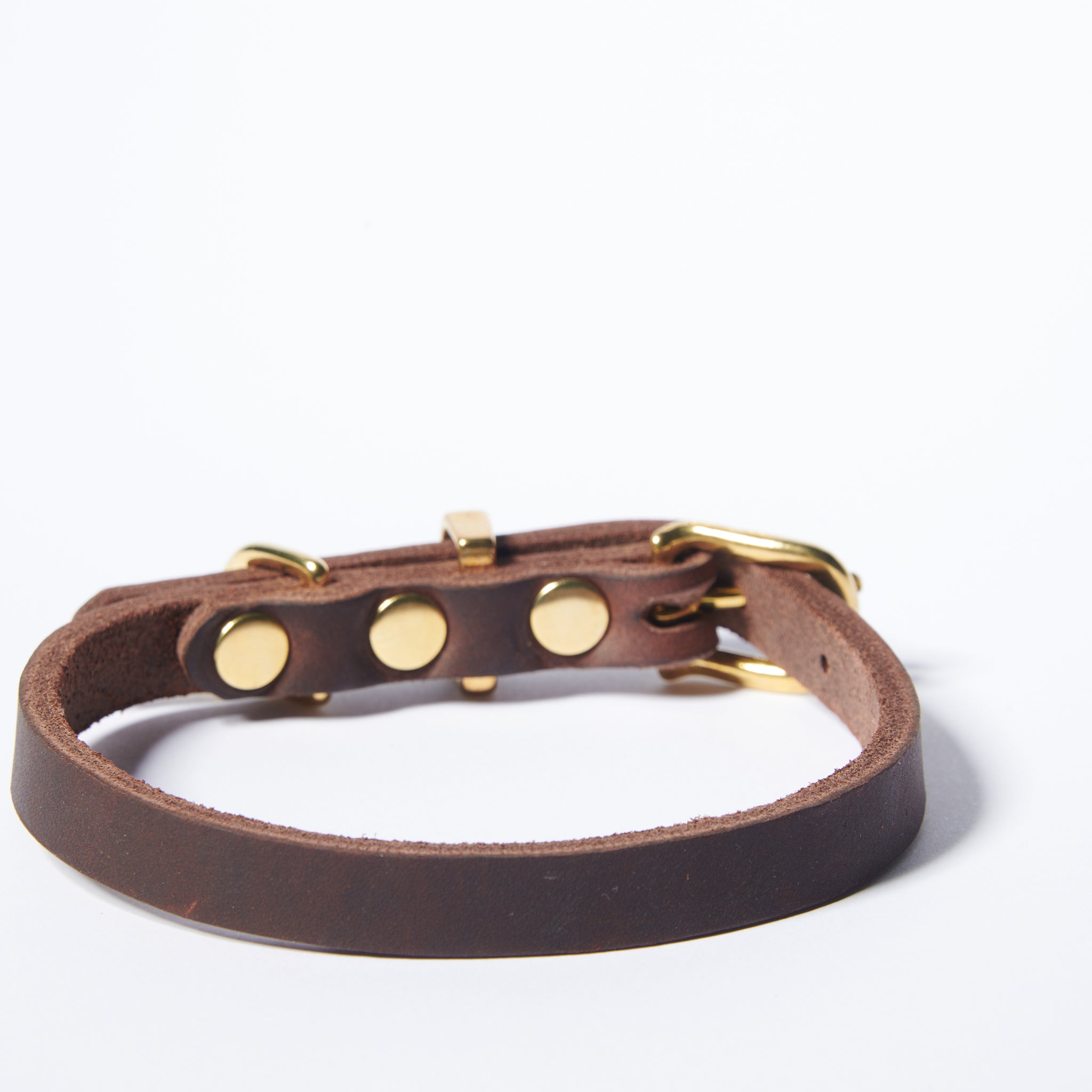Hundehalsband Butter     - von Molly & Stitch kaufen bei leopolds-finest