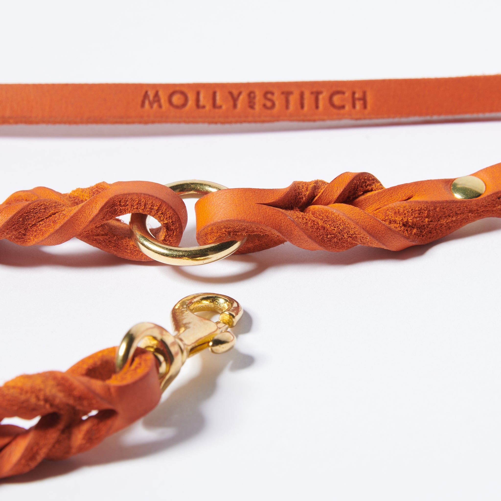 Hundeleine Butter Dackel     - von Molly & Stitch kaufen bei leopolds-finest