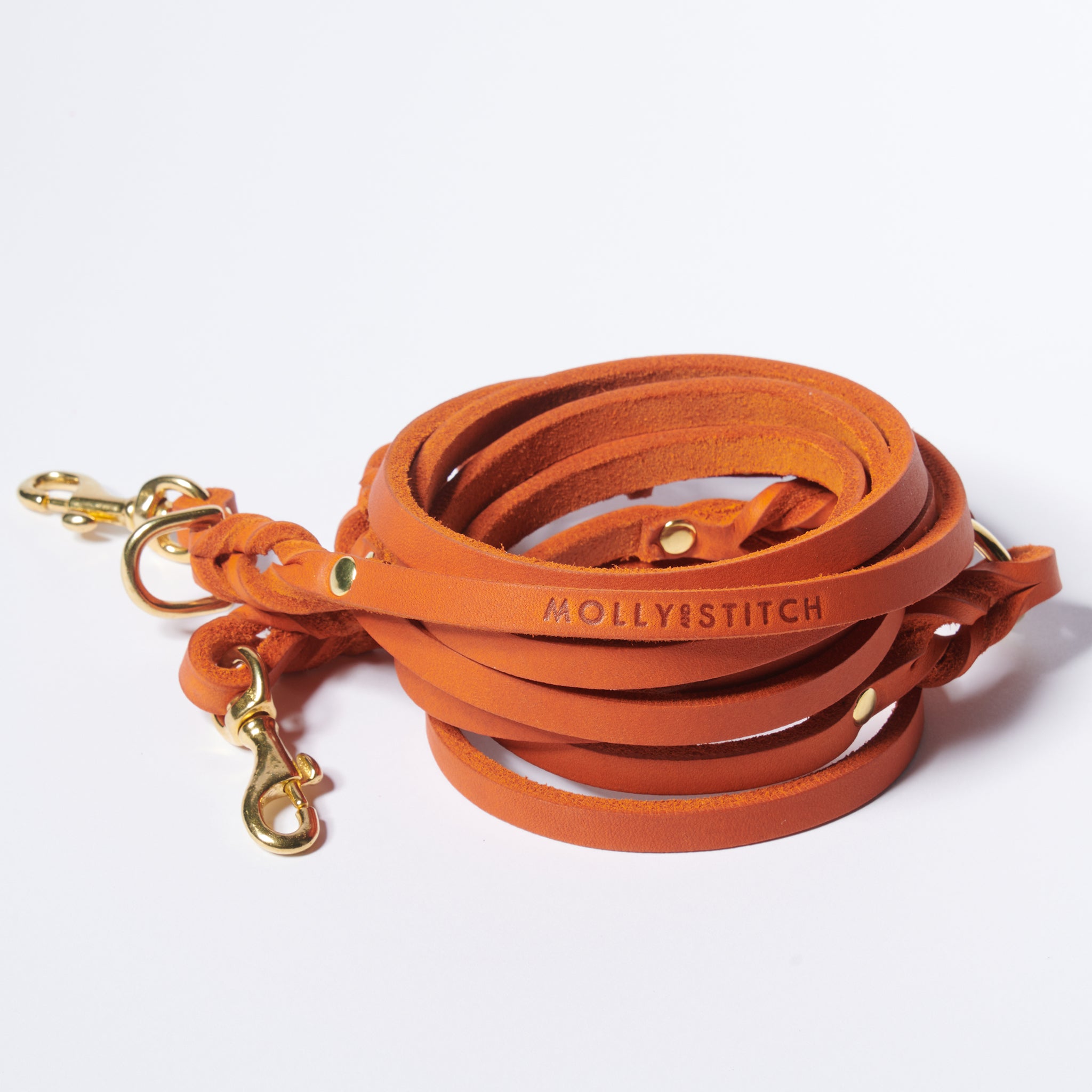Hundeleine Butter Dackel     - von Molly & Stitch kaufen bei leopolds-finest