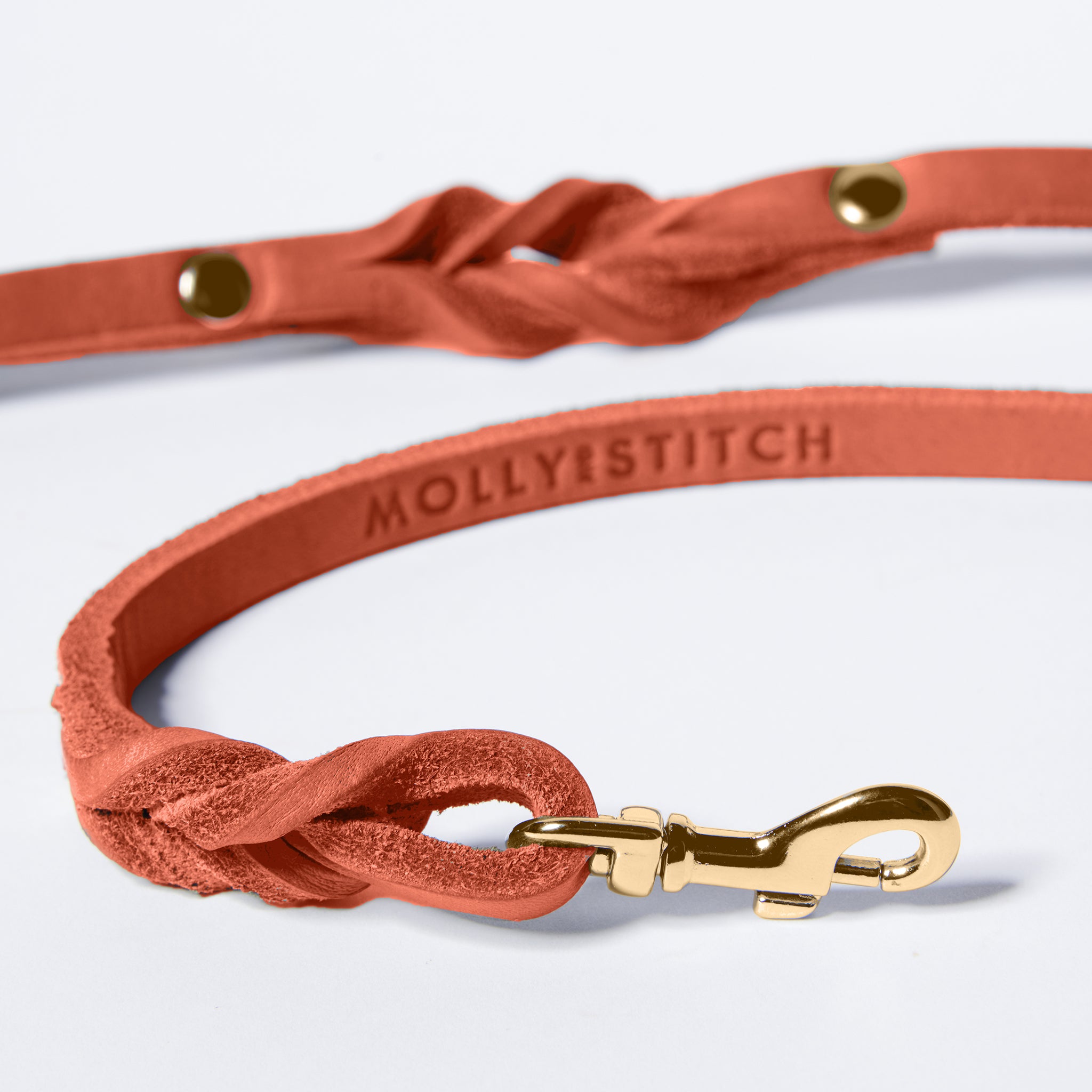 Hundeleine Butter Leder     - von Molly & Stitch kaufen bei leopolds-finest