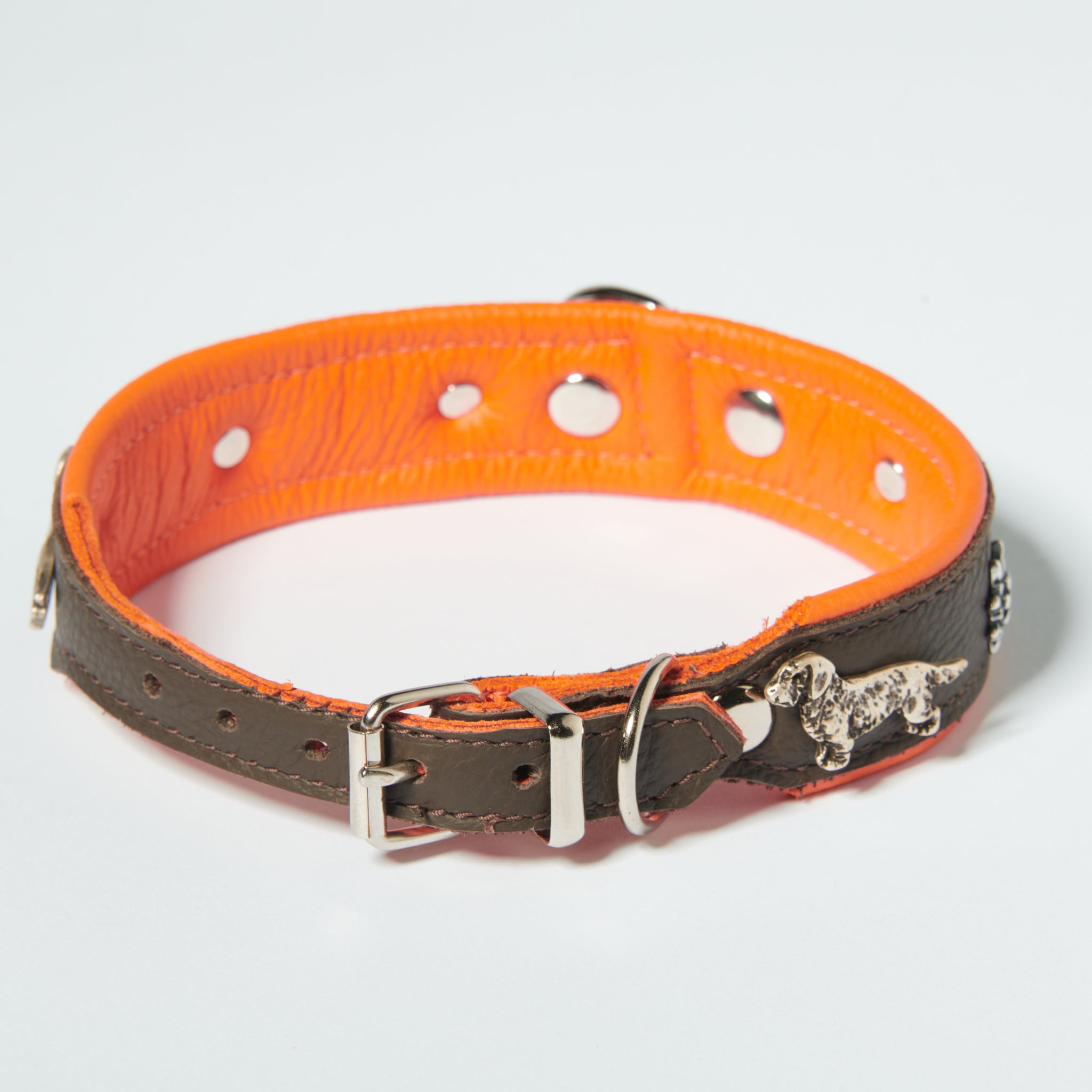 Hundehalsband Dackel     - von Leopold´s kaufen bei leopolds-finest