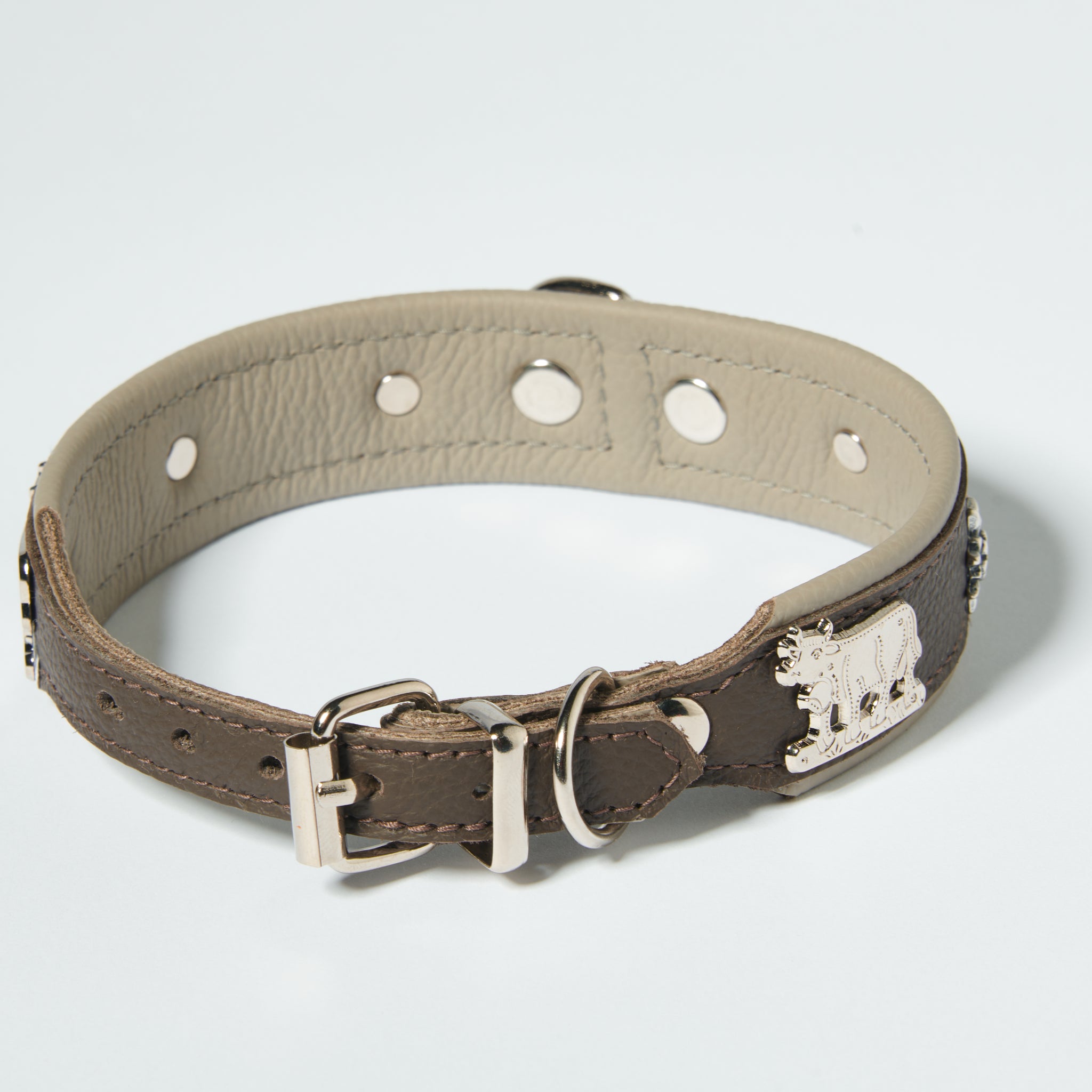 Hundehalsband Kühe Motiv     - von Leopold´s kaufen bei leopolds-finest