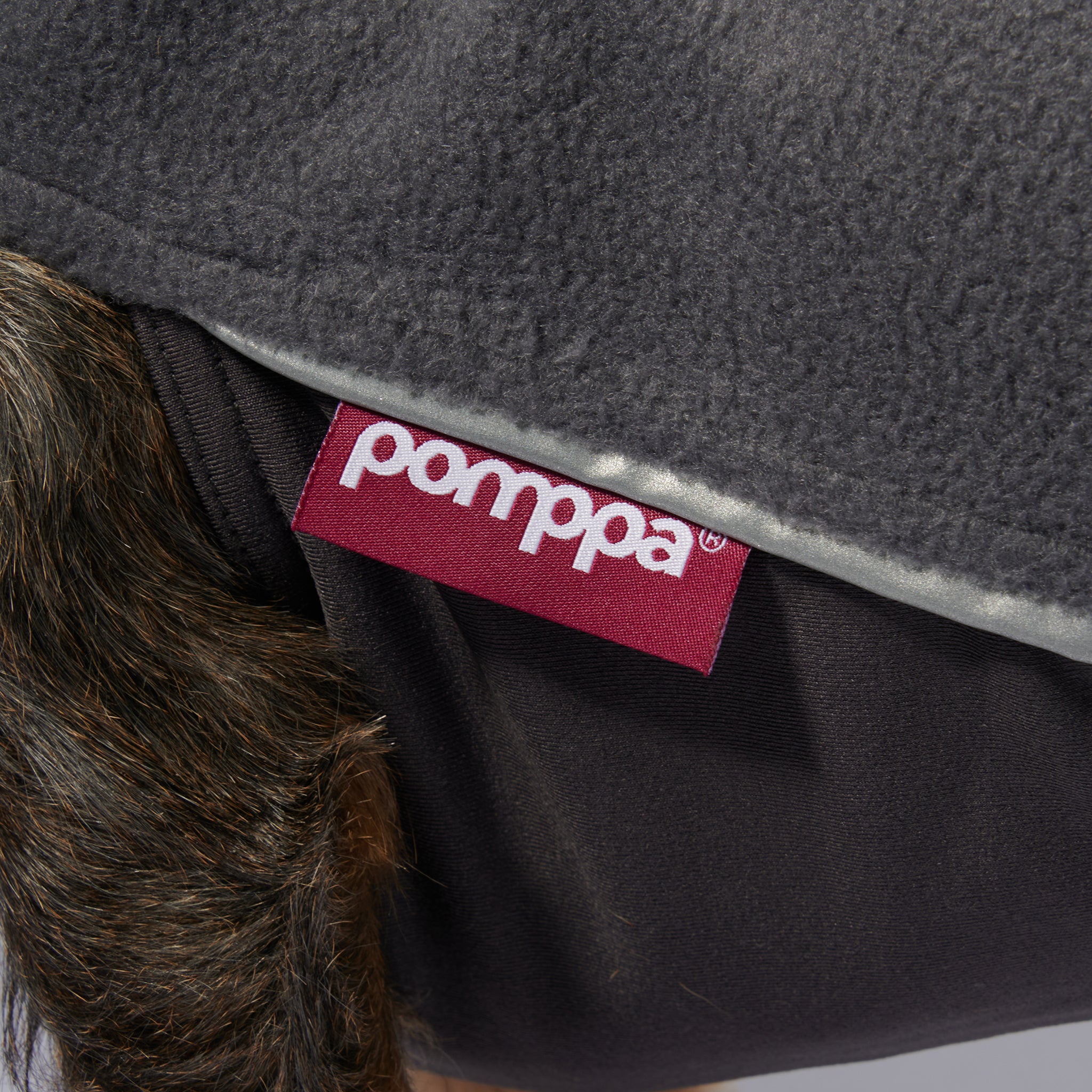 Hundepullover Dackel     - von Pomppa kaufen bei leopolds-finest