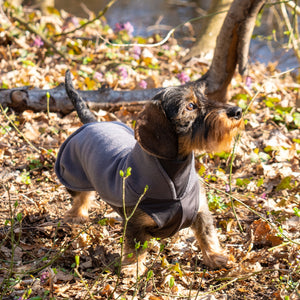 Hundepullover Dackel     - von Pomppa kaufen bei leopolds-finest