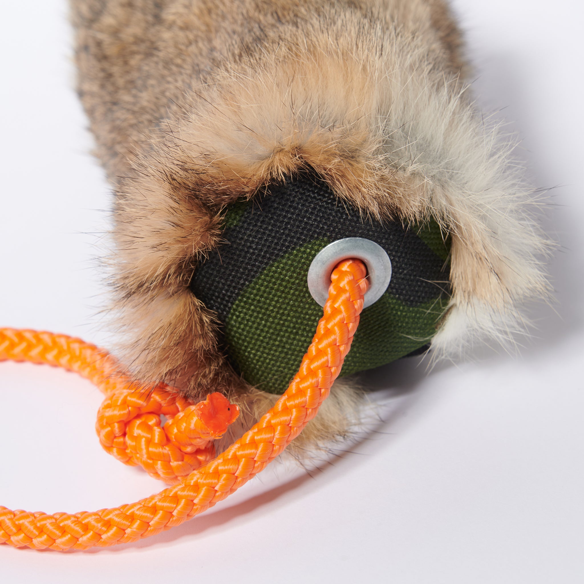 Felldummy Hund     - von Romneys kaufen bei leopolds-finest