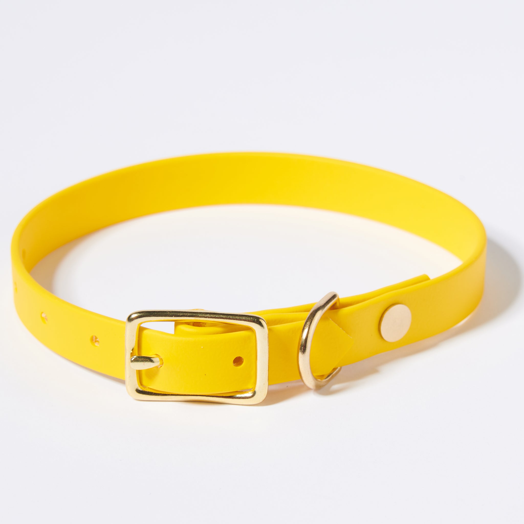 Hund Halsband Dackel     - von Stilhütte kaufen bei leopolds-finest