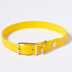 Hund Halsband Dackel     - von Stilhütte kaufen bei leopolds-finest