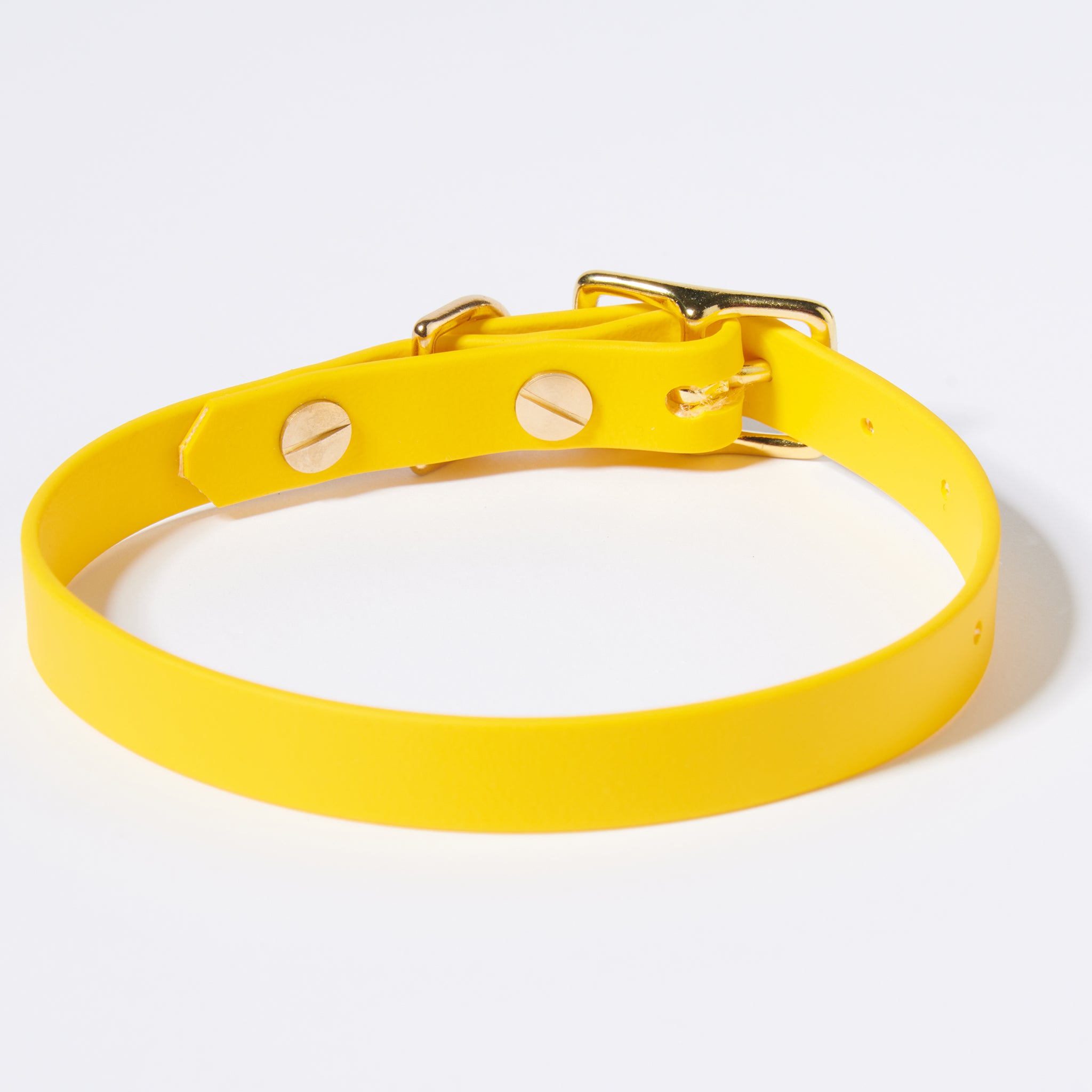 Hund Halsband Dackel     - von Stilhütte kaufen bei leopolds-finest