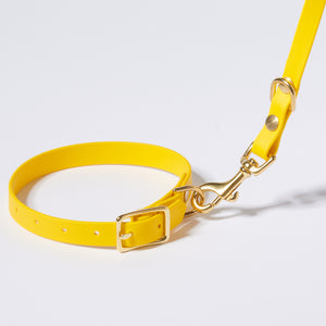Hund Halsband Dackel     - von Stilhütte kaufen bei leopolds-finest