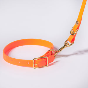 Hund Halsband Dackel     - von Stilhütte kaufen bei leopolds-finest