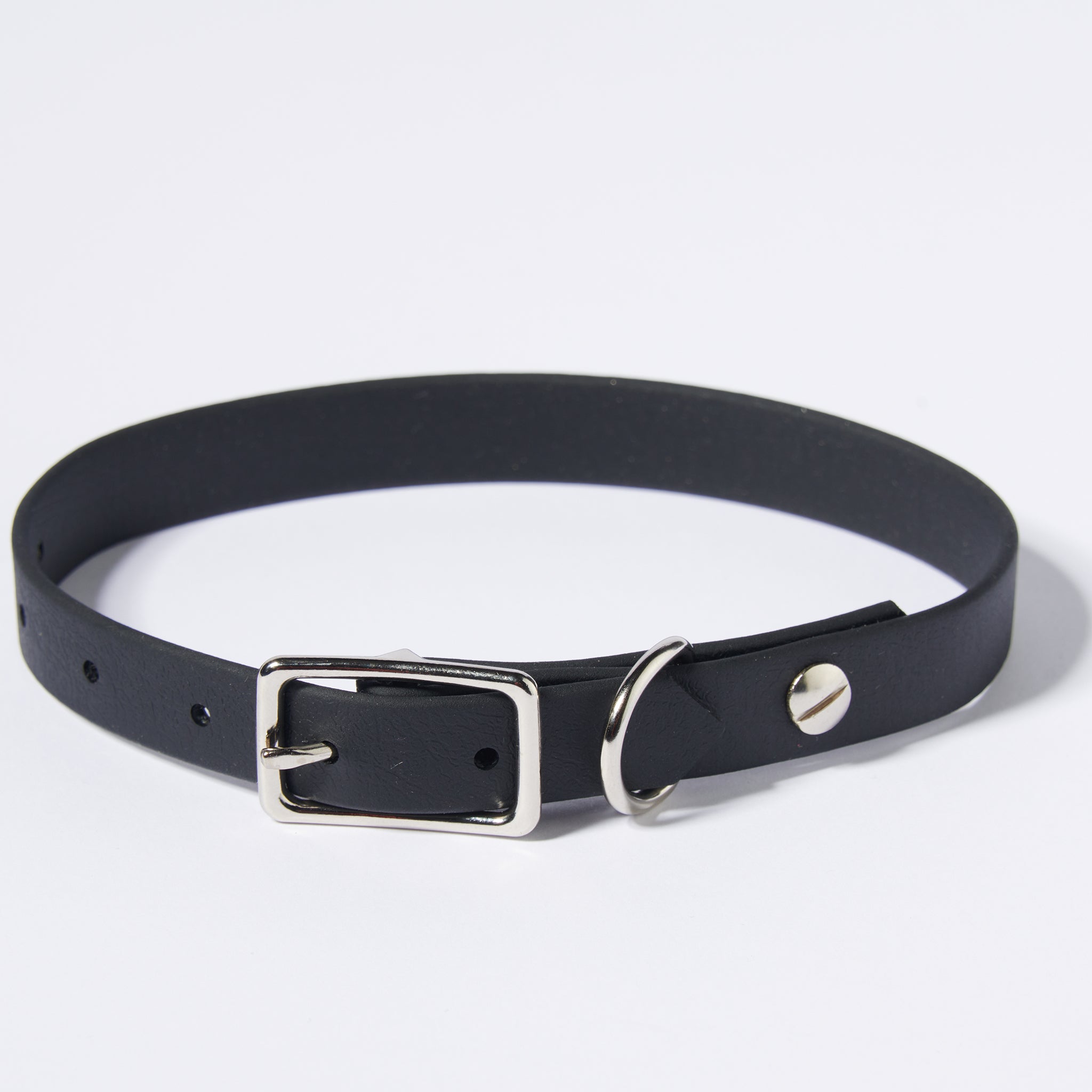 Hund Halsband Dackel     - von Stilhütte kaufen bei leopolds-finest