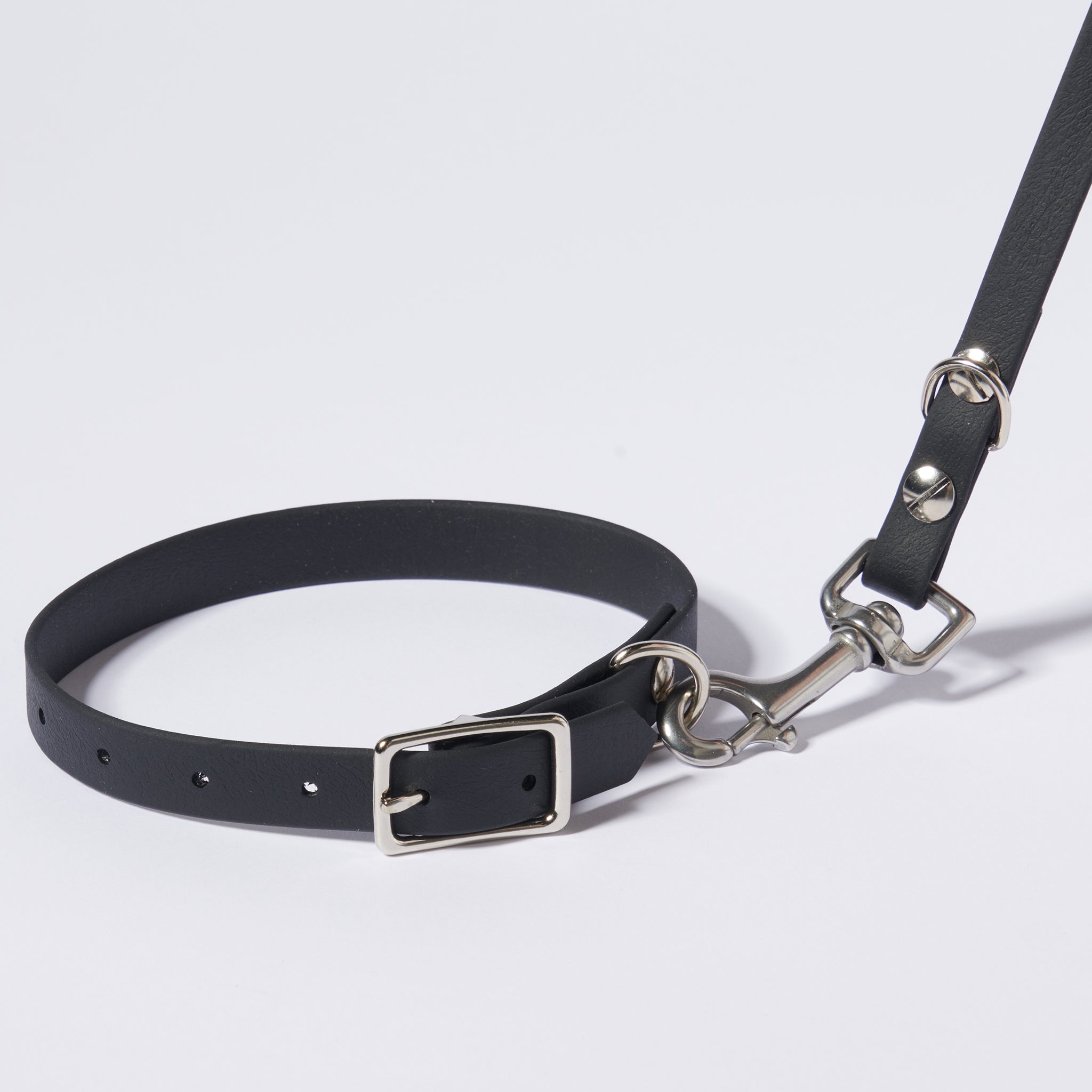Hund Halsband Dackel     - von Stilhütte kaufen bei leopolds-finest
