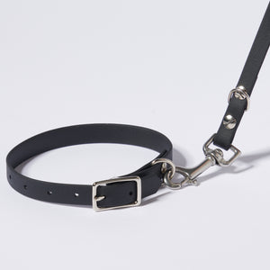 Hund Halsband Dackel     - von Stilhütte kaufen bei leopolds-finest