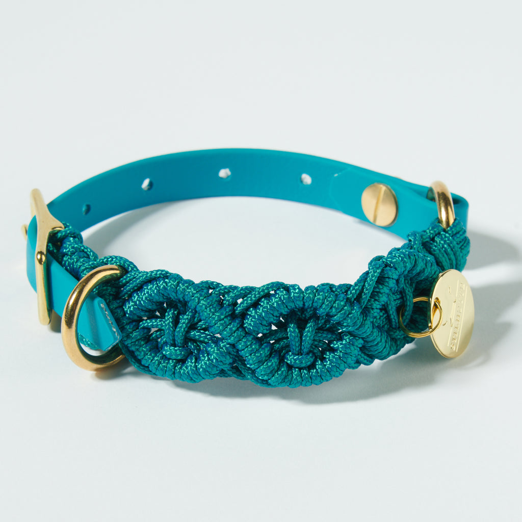 BioThane Hundehalsband & Leine – Mittlere Breite 25 Mm, Halsumfang 45-55 Cm, Hellblau