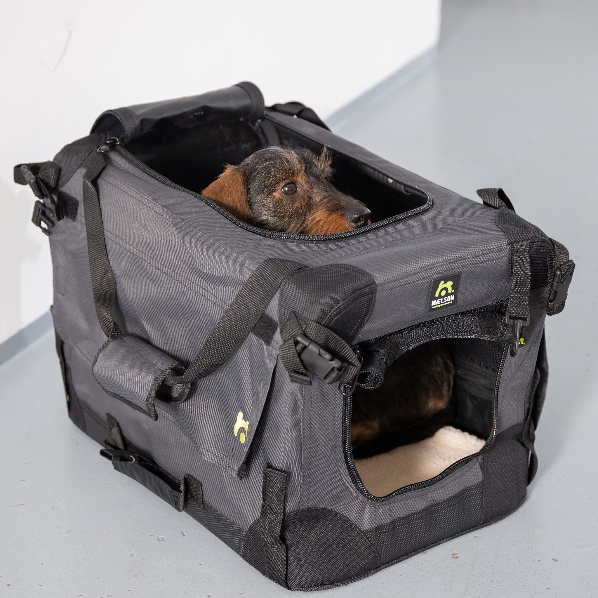 Hundetransportbox faltbar     - von Maelson kaufen bei leopolds-finest
