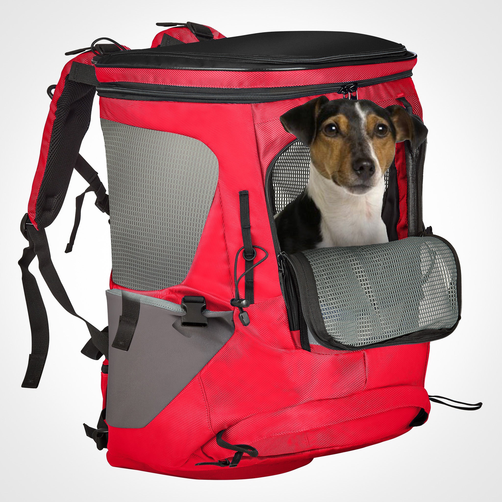 Hunderucksack kleine Hunde     - von Wanderpfote kaufen bei leopolds-finest