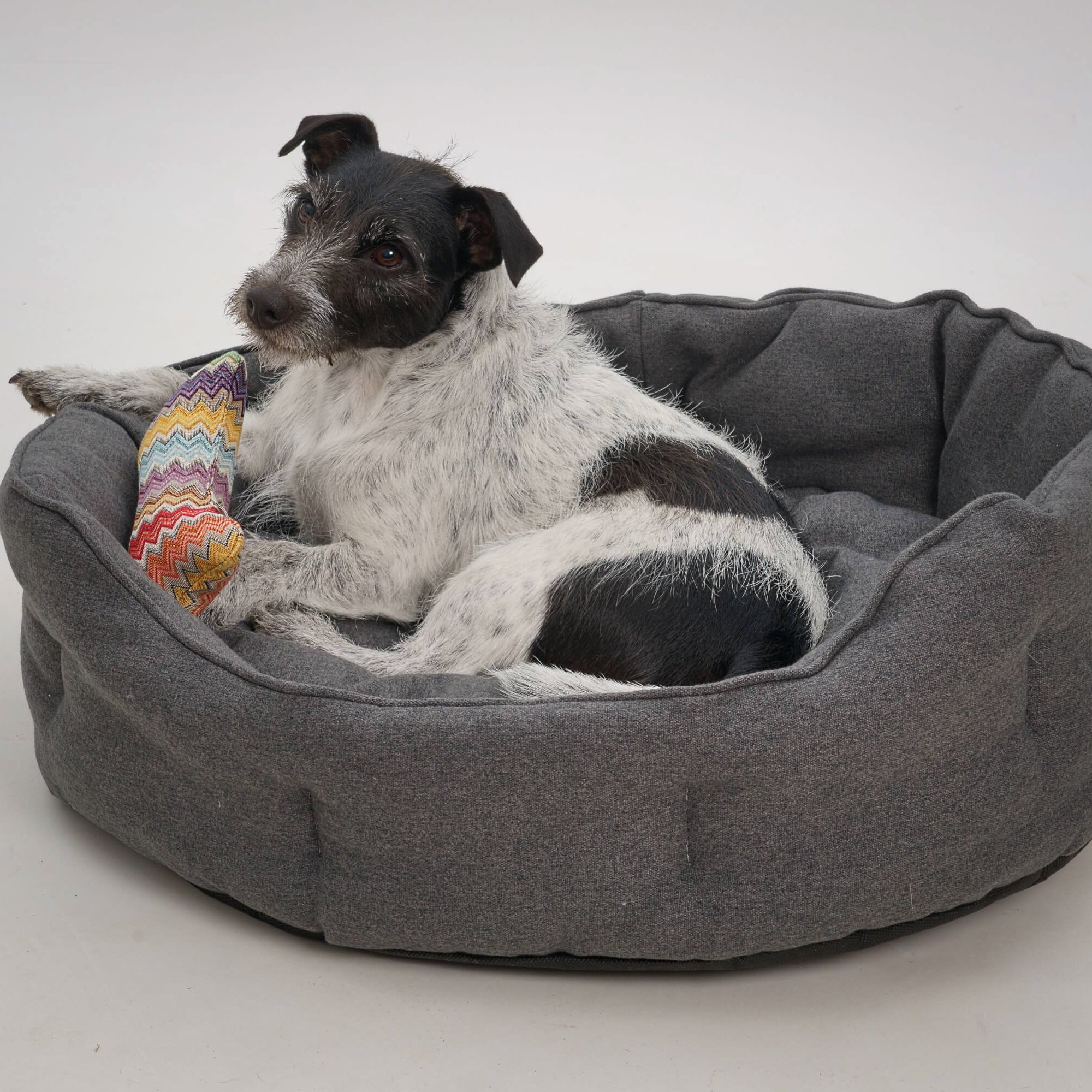 Hundekörbchen Dackel     - von Dogs in the City kaufen bei leopolds-finest
