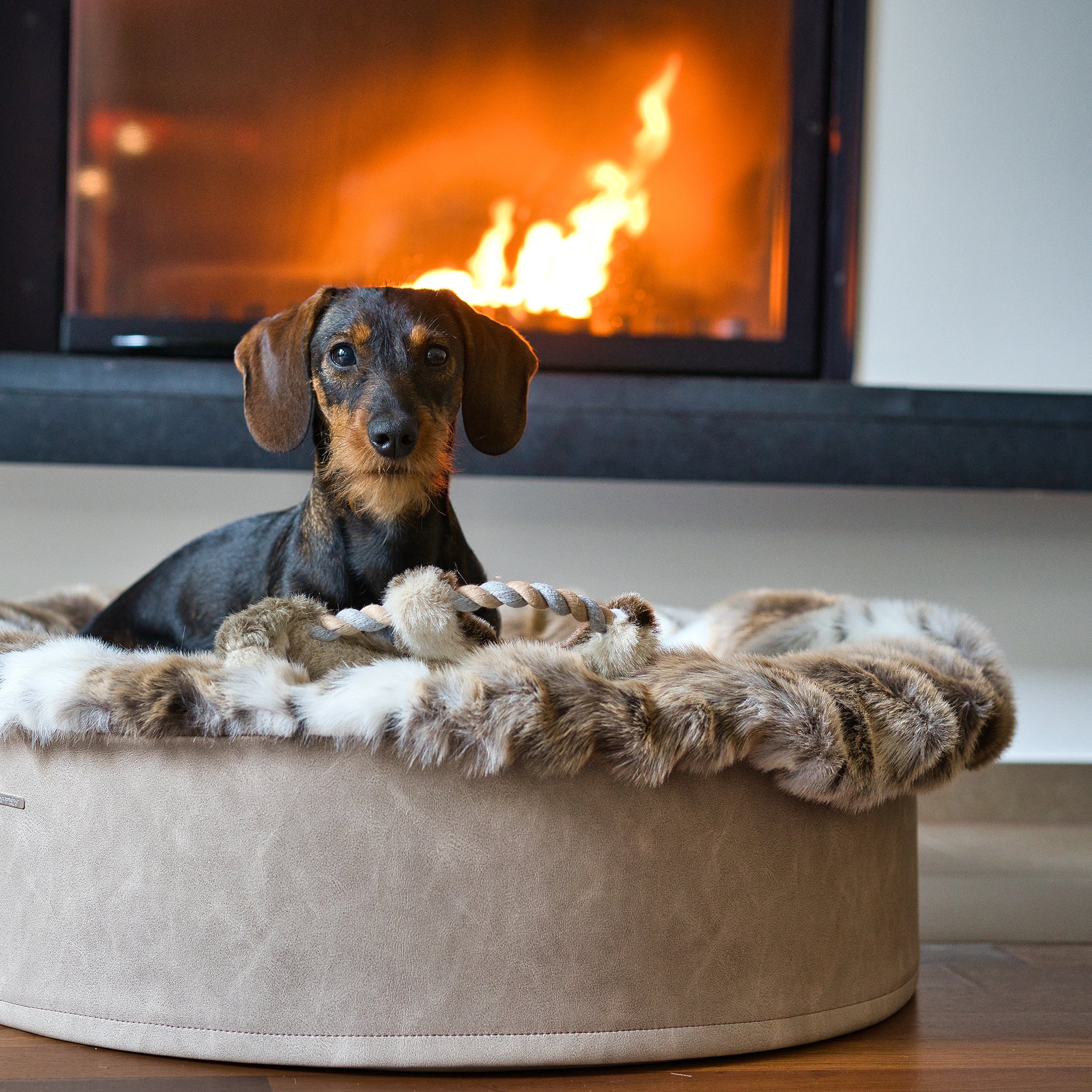 Hundebett Dackel Buddelnest     - von Maul Ledermanufaktur kaufen bei leopolds-finest