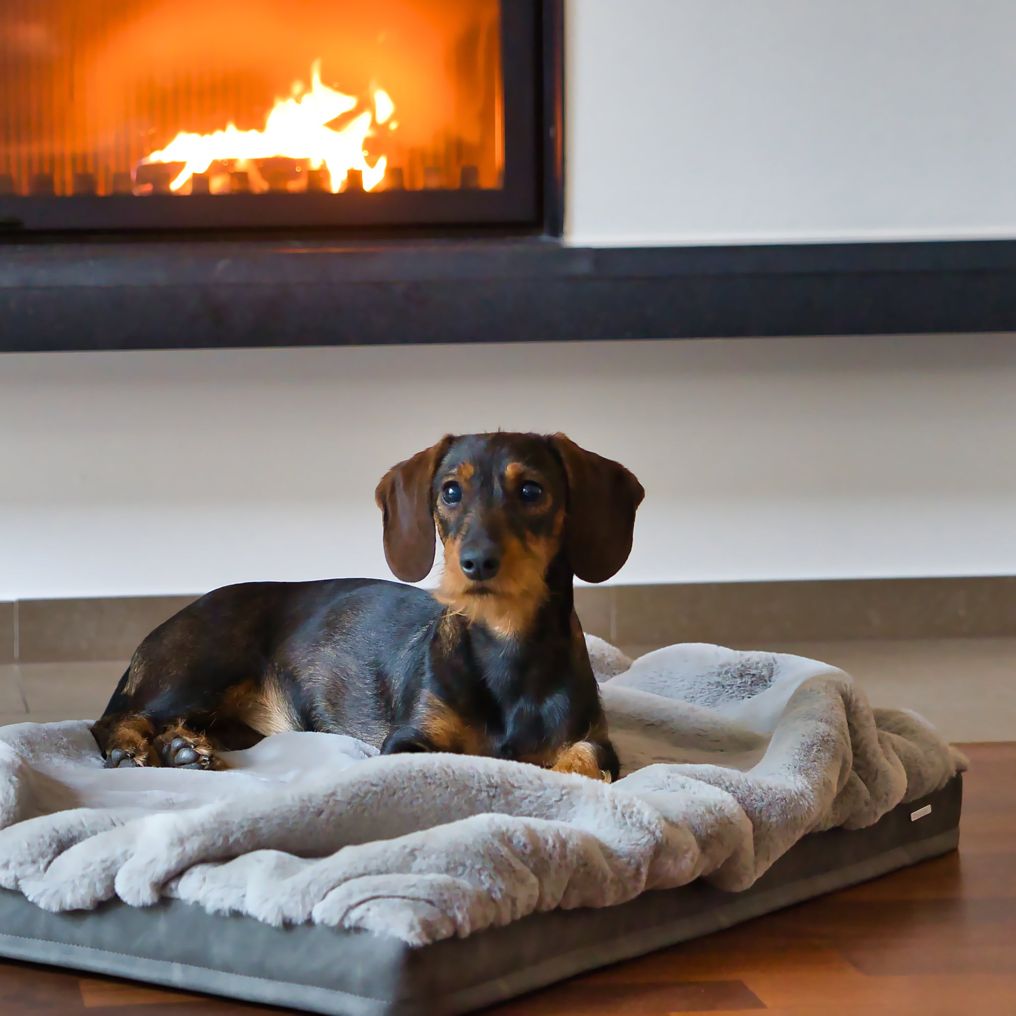 Hundebett Buddelmatte »Kharlo«     - von Maul Ledermanufaktur kaufen bei leopolds-finest